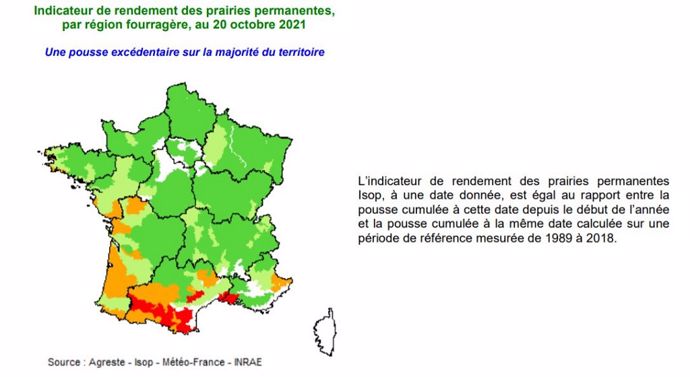Pousse de l'herbe au 20 octobre 2021