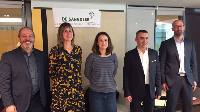 Equipe De Sangosse