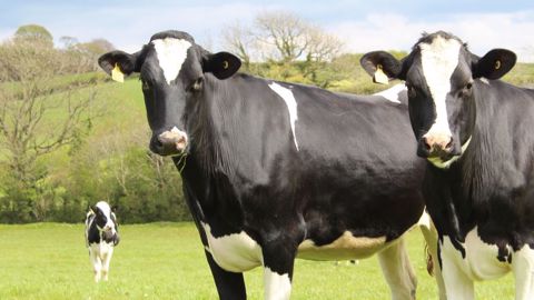 L’EMB appelle à une refonte complète du système agricole actuel L’EMB appelle à une refonte complète du système agricole actuel