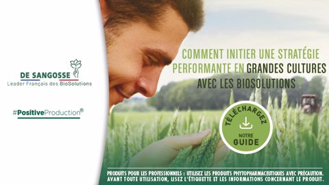 T&eacute;l&eacute;chargez le guide Biosolutions De Sangosse