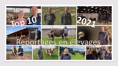 Les reportages les plus lus de 2021 Les reportages les plus lus de 2021