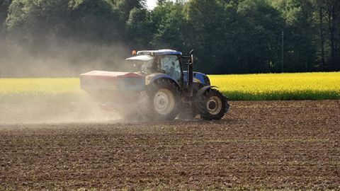 Les apports d'azote sur tournesol vont de l’impasse à quelques dizaines d’unités apportées au semis ou en végétation du stade 6 à 14 feuilles. (©Laurent Jung/Terres Inovia)
