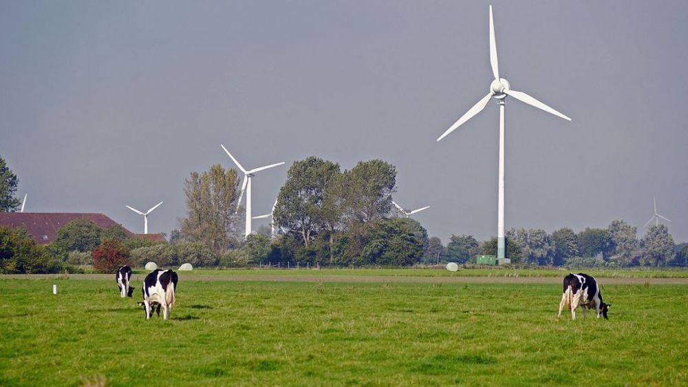 Selon l'Anses, les troubles rapportés par les éleveurs pourraient avoir « d'autres causes non étudiées ». (©Pixabay)