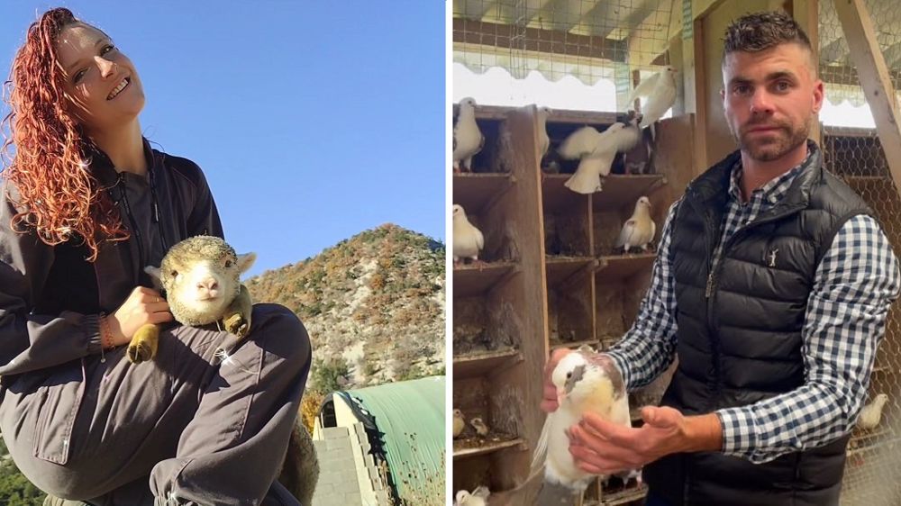Marianna élève des ovins dans les Hautes-Alpes et Léo des pigeons en Vendée. (©Marianna Briançon et Léo Guignard)