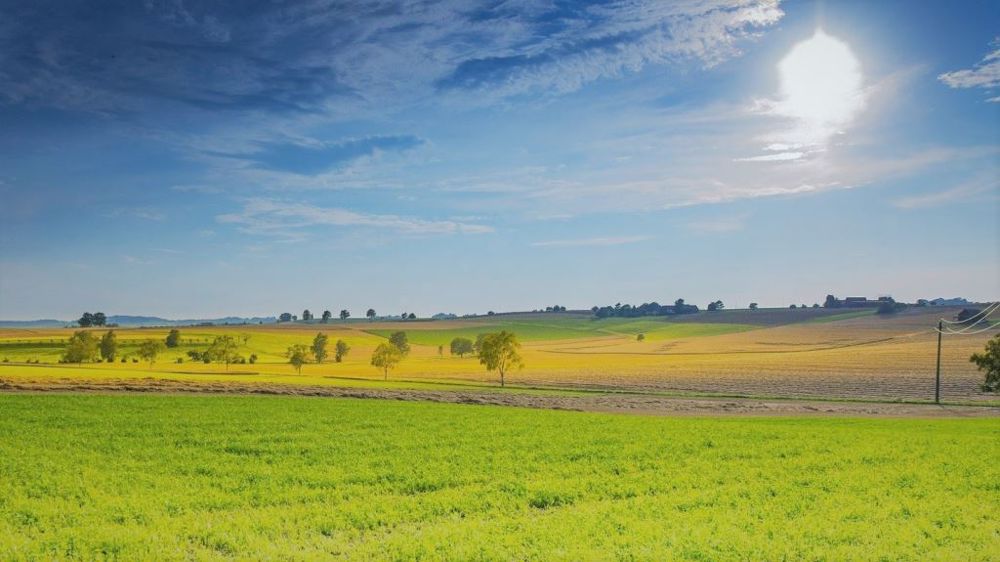 Le plan stratégique nationale, déclinaison française de la Pac 2023-2027, sera envoyé cette semaine à la Commission européenne. (©Pixabay)