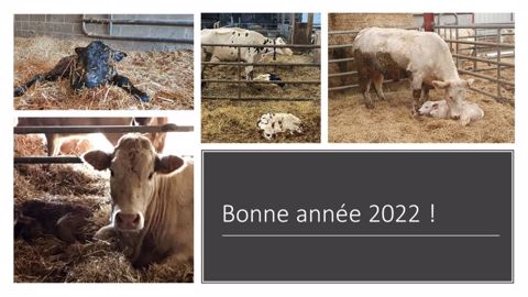 Les naissances surprises du 1er janvier Les naissances surprises du 1er janvier