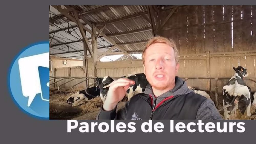  « Comment l'élevage français peut-il s'en sortir, si l'on ne motive pas les jeunes à s'installer ? », s'interroge Sophie Gourinet. (©Étienne Fourmont // Création Terre-net Média)