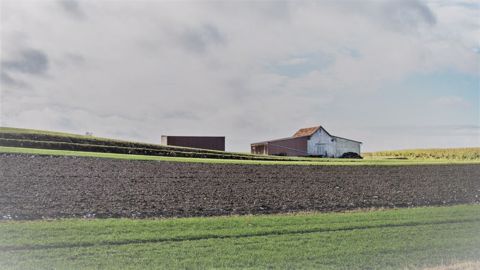 Plus de 44 % des agriculteurs vont diminuer leurs investissements en 2022 Plus de 44 % des agriculteurs vont diminuer leurs investissements en 2022