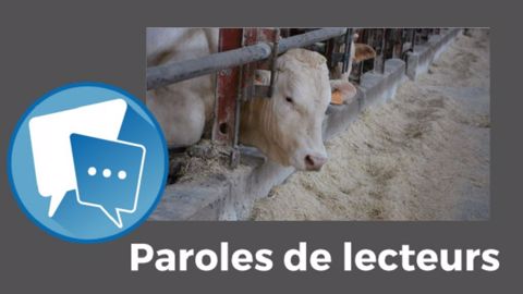  « Et si les importateurs algériens se tournaient vers d'autres pays exportateurs ? » redoute Sam. (©Terre-net Média)