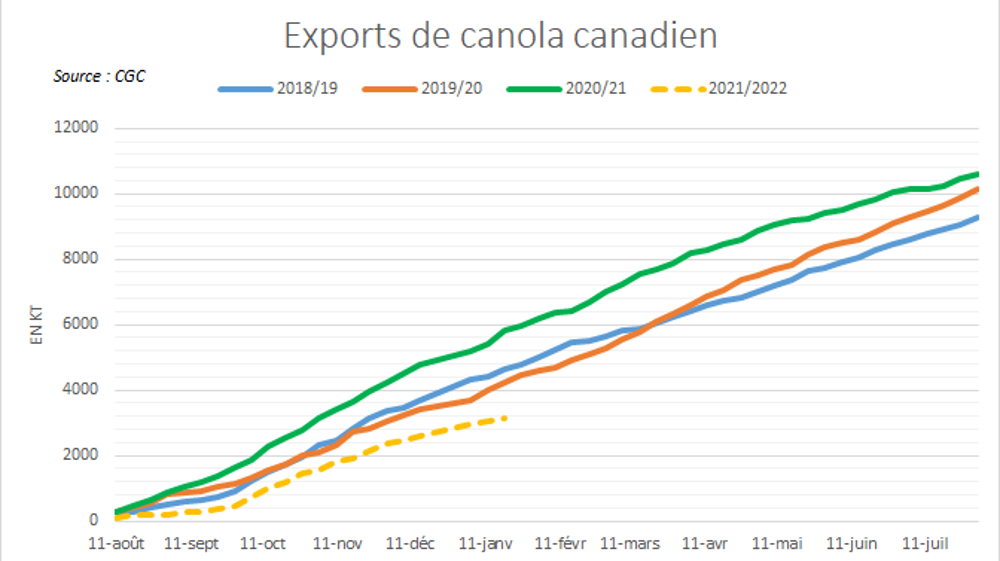 Exports de canola canadien. Exports de canola canadien.