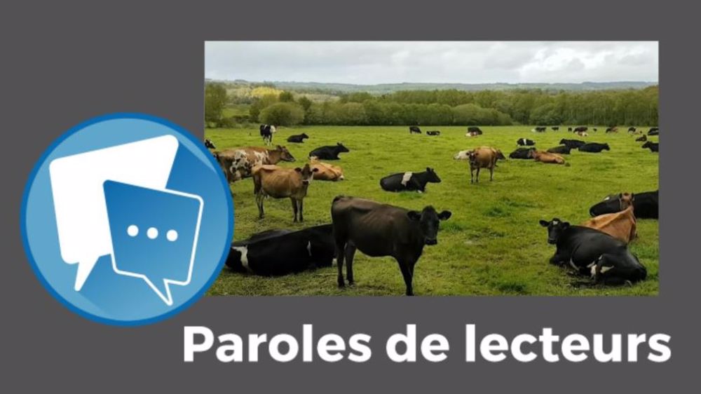 « Même à 250 € d<strong>'</strong>EBE/1000 l de lait, tu n'en as pas assez pour payer une reprise d'exploitation laitière à 80 cts du litre... », estime Maxime Rocabois. (©Terre-net Média)