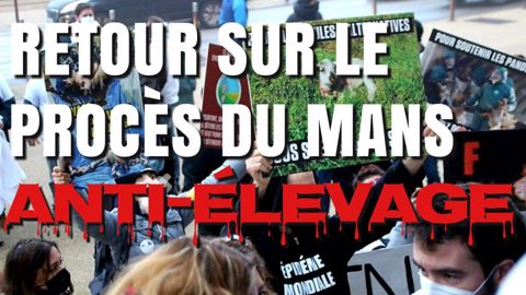 Étienne Fourmont, éleveur (72), revient sur le procès des anti-élevages Étienne Fourmont, éleveur (72), revient sur le procès des anti-élevages