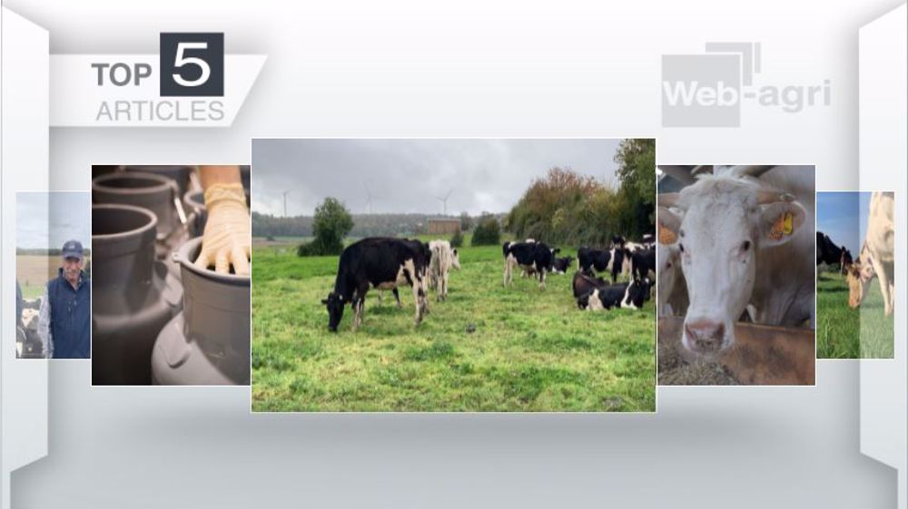 Articles les plus lus sur Web-agri cette semaine. (©Terre-net Média)