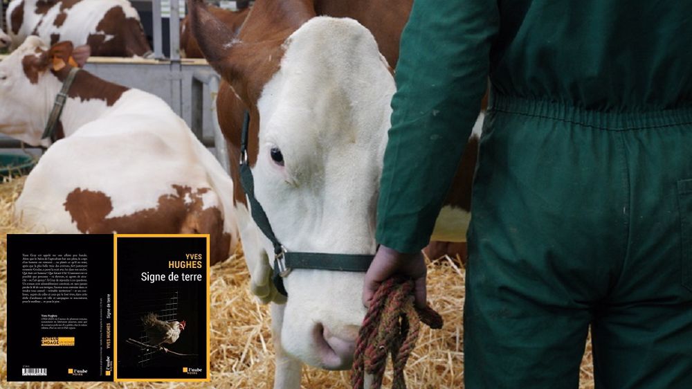 Au fil des pages, le lecteur essaie de recouper des indices en même temps qu'il visite le Salon de l'agriculture !(©Sia, Éditions de l'Aube)