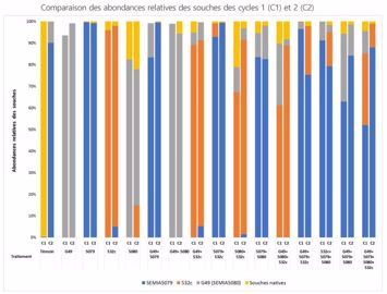 Comparaison des abondances relatives des souches des cycles 1 et 2