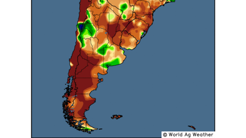 Ecart de précipitations par rapport à la moyenne sur les 14 derniers jours. (©WordAgWeather) Ecart de précipitations par rapport à la moyenne sur les 14 derniers jours. (©WordAgWeather)