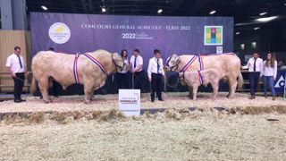 Juline et Neroli, les grands champions du concours Charolais Juline et Neroli, les grands champions du concours Charolais