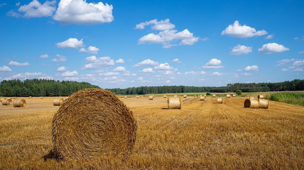 Les chiffres de l'agriculture française. (©Pixabay)