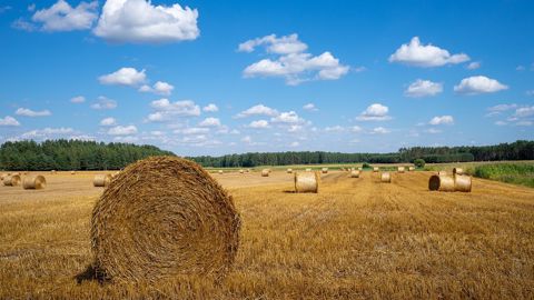 Les chiffres de l'agriculture française. (©Pixabay)