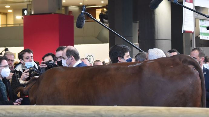 Le Premier ministre Jean Castex et le ministre de l'agriculture Julien Denormandie dans l'enclos de la vache égérie, Neige.
