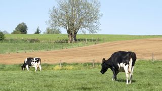 La FNPL doute du bon respect de la loi Égalim 2 La FNPL doute du bon respect de la loi Égalim 2