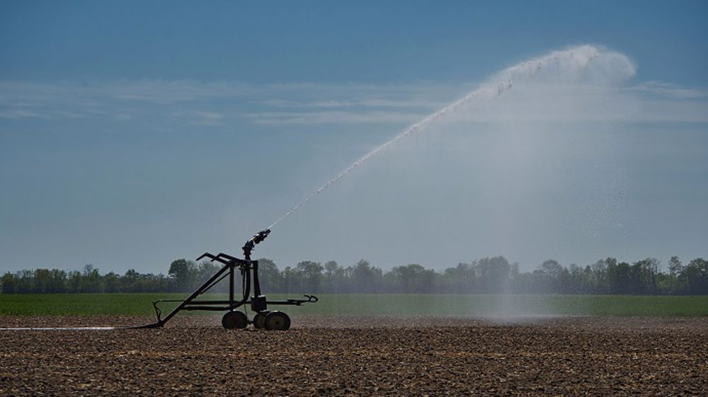 Des parcelles manquent de précipitations dans l'Hexagone. (©Pixabay)