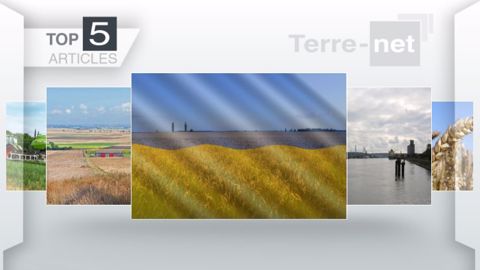 Articles les plus lus sur Terre-net cette semaine. (©Terre-net Média)