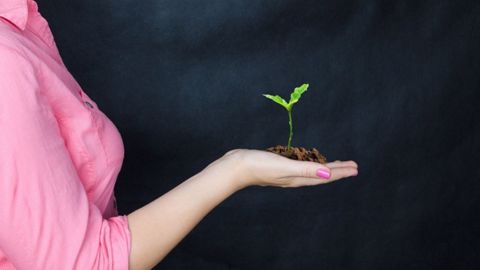 92 % des agricultrices sont heureuses dans leur métier