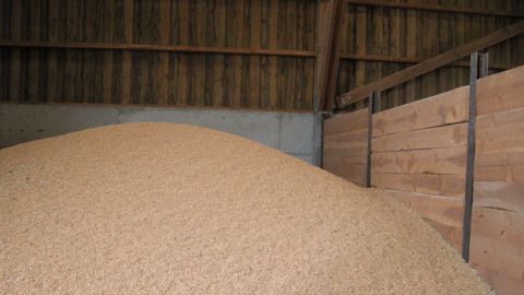 FranceAgriMer estime que le stock de blé tendre s'élèvera à quasiment 3 Mt fin juin 2022, un volume confortable. (©Terre-net Média)