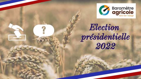 À quelques semaines de l'élection présidentielle, quelles sont les intentions de vote des agriculteurs ? (©Terre-net Média) À quelques semaines de l'élection présidentielle, quelles sont les intentions de vote des agriculteurs ? (©Terre-net Média)