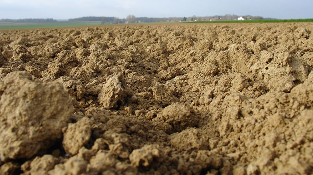Un défaut de structuration du sol impacte directement le potentiel de production de la culture de lin fibre. (©Arvalis-Institut du végétal)