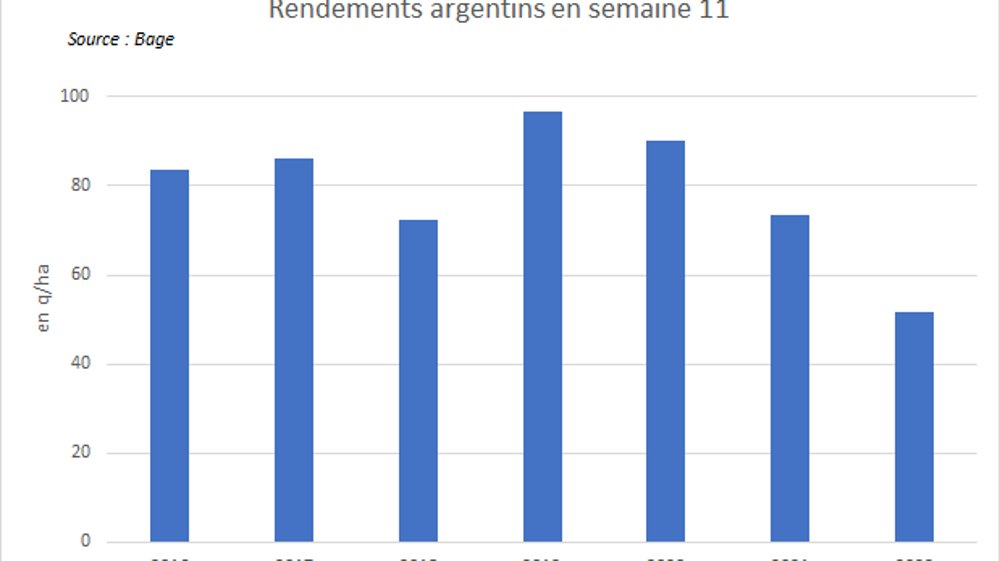 Rendements du maïs argentin. Rendements du maïs argentin.