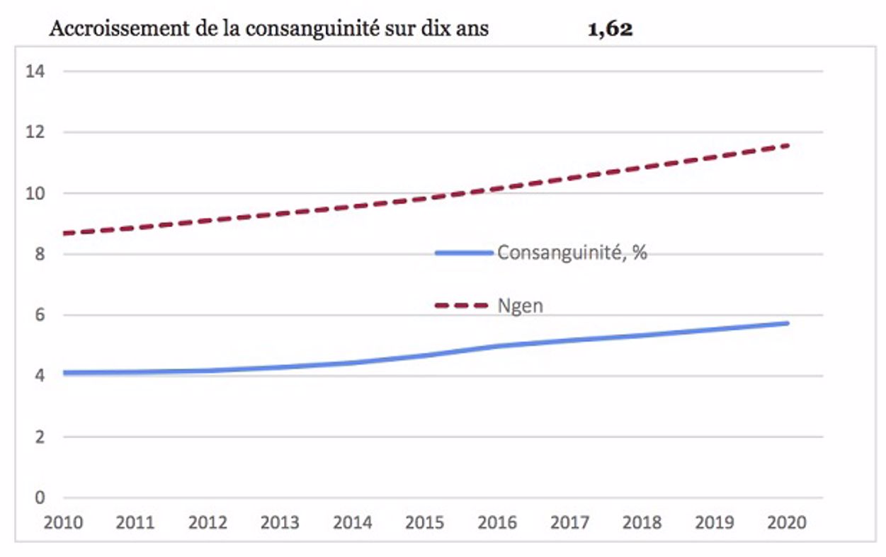 La consanguinité en race Prim