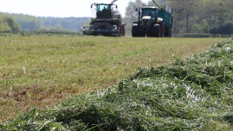 Equifourrage La Gée foin de prairie enrubanné - Le Paturon