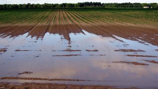 79 % des éleveurs ne souscrivent pas d'assurance multirisque climatique 79 % des éleveurs ne souscrivent pas d'assurance multirisque climatique