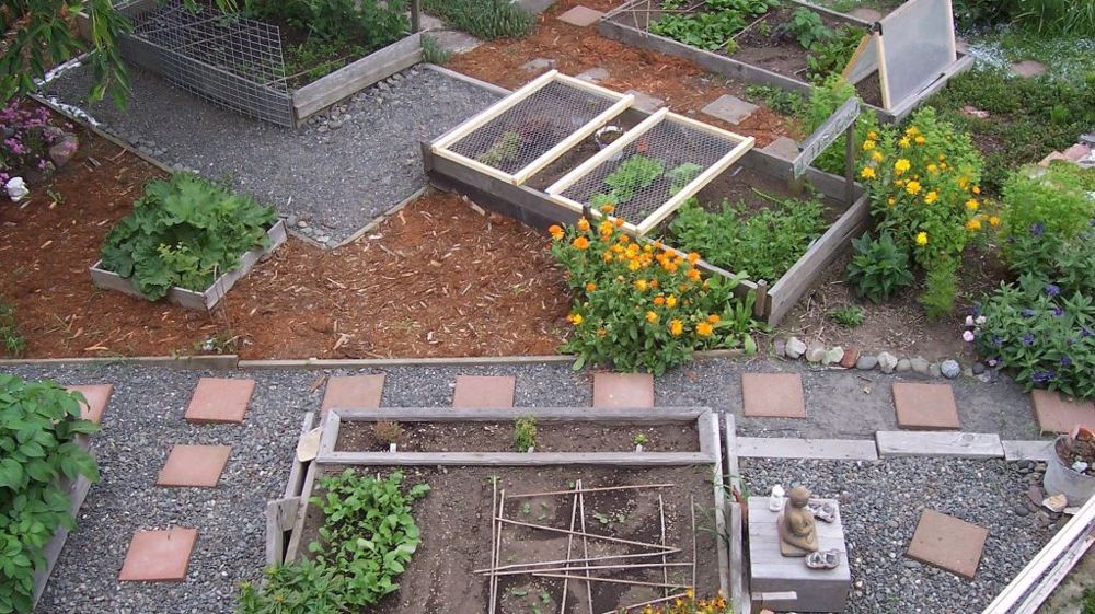 Achats locaux, agriculture urbaine, foncier, France Urbaine avance 13 propositions pour renforcer la transition agricole. (©Pixabay)