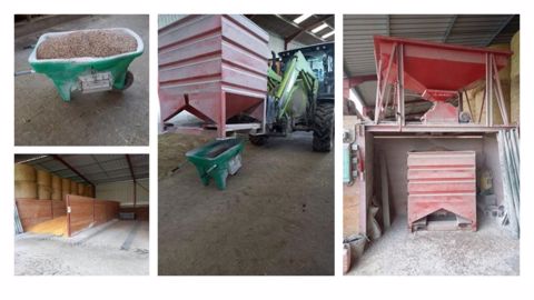 Alimentation des vaches allaitantes avec méteil grain