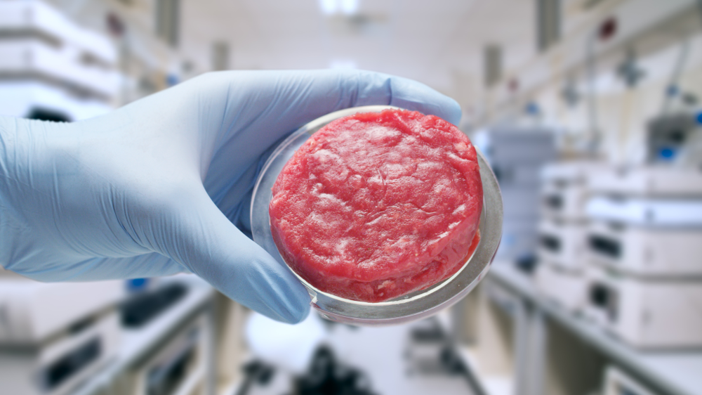 Le dernier rapport d'Ipes-Food montre que, si l'élevage génère des gaz à effets de serre, la viande artificielle et les simili carnés ne sont pas la solution miracle au changement climatique. (Adobe Stock)