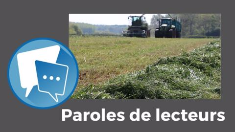  « En 2021, la première fauche a eu lieu le 4 mars » chez Patrice. Mais en 2022, ce n'est pas la même histoire...<br />(©Terre-net Média)