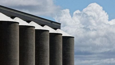 Le CIC s'attend à 287 Mt de stocks mondiaux de maïs pour la fin de la campagne 2021/22, et 281 Mt pour le blé (©Pixabay) Le CIC s'attend à 287 Mt de stocks mondiaux de maïs pour la fin de la campagne 2021/22, et 281 Mt pour le blé (©Pixabay)