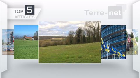 Articles les plus lus sur Terre-net cette semaine. (©Terre-net Média)