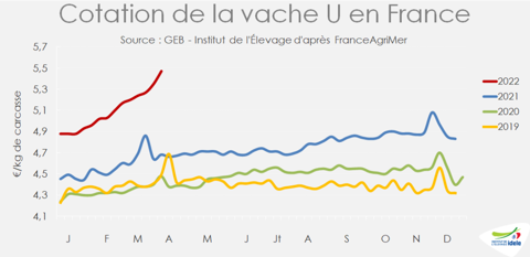 Cotation de la vache U en France en avril 2022