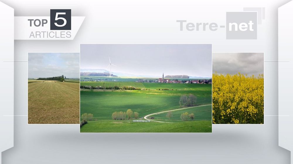 Top articles de Terre-net cette semaine. (©Terre-net Média)