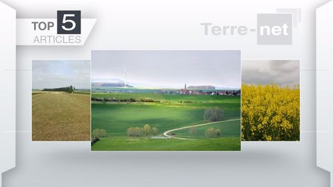 Top articles de Terre-net cette semaine. (©Terre-net Média)
