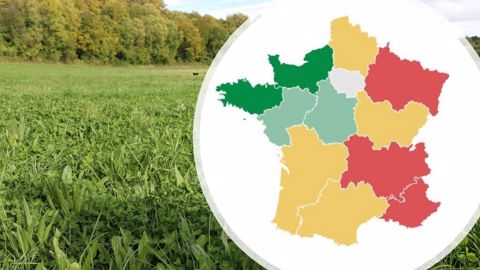 Quelle est la situation dans votre région ? Quelle est la situation dans votre région ?