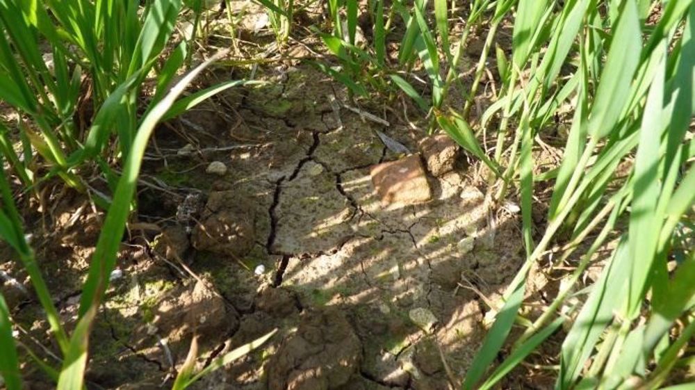En mars et avril, le déficit de pluie s'élève à environ 35 % en France. (©Terre-net Média)