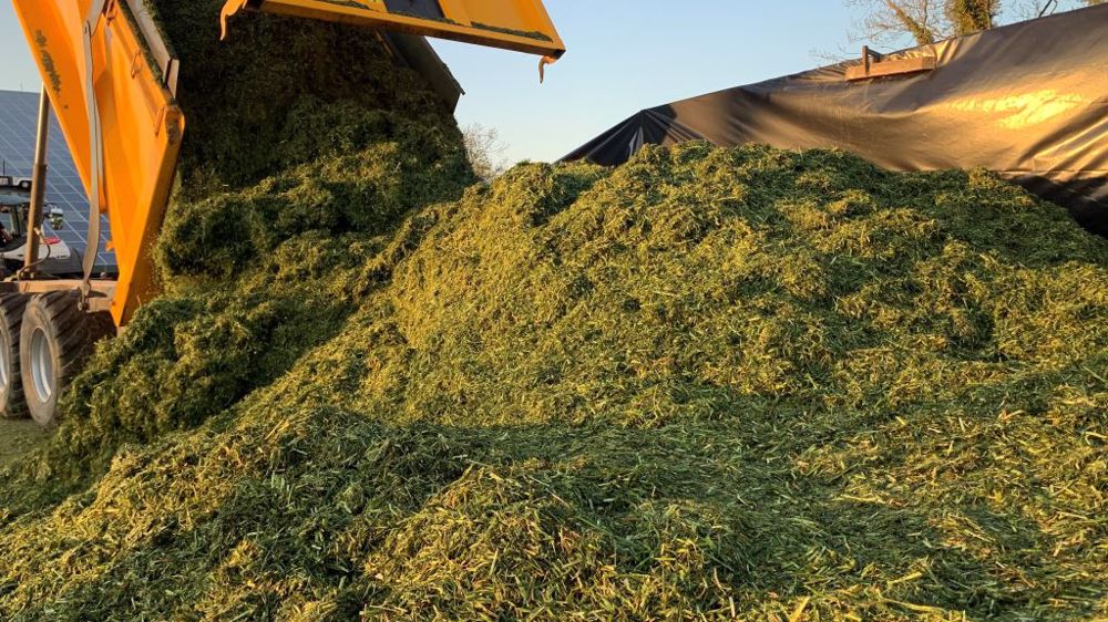 Faire de l'enrubannage ou de l'ensilage d'herbe de bonne heure au printemps permet de constituer un stock intéressant sans pénaliser le rendement des prairies. (©Terre-net Média)