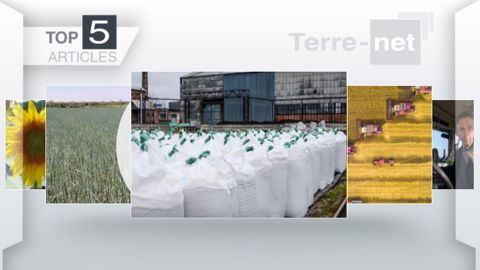Articles les plus lus sur Terre-net cette semaine. (©Terre-net Média)