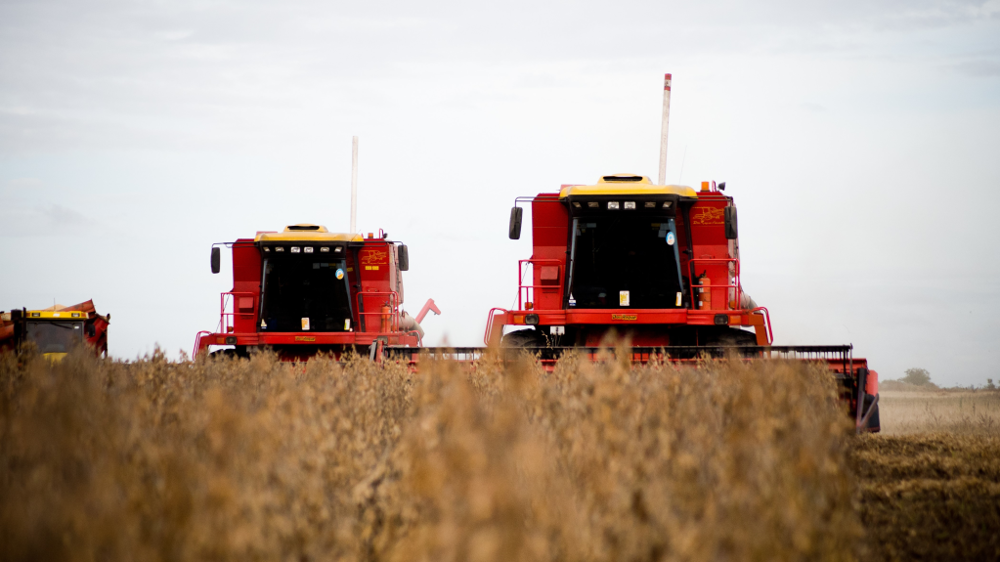 La production de soja argentin devrait atteindre 41 millions de tonnes pour la campagne 2021-22. (©Adobe Stock)