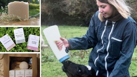 Le lait de vache représente 30 % des savons que fabrique Gwenaëlle, dont les noms reflètent l'origine agricole : "P'tit paysan", "Jachère fleurie", "Balades dans les prés"... (©Les Cosmétiques de Vachamèche) Le lait de vache représente 30 % des savons que fabrique Gwenaëlle, dont les noms reflètent l'origine agricole : "P'tit paysan", "Jachère fleurie", "Balades dans les prés"... (©Les Cosmétiques de Vachamèche)